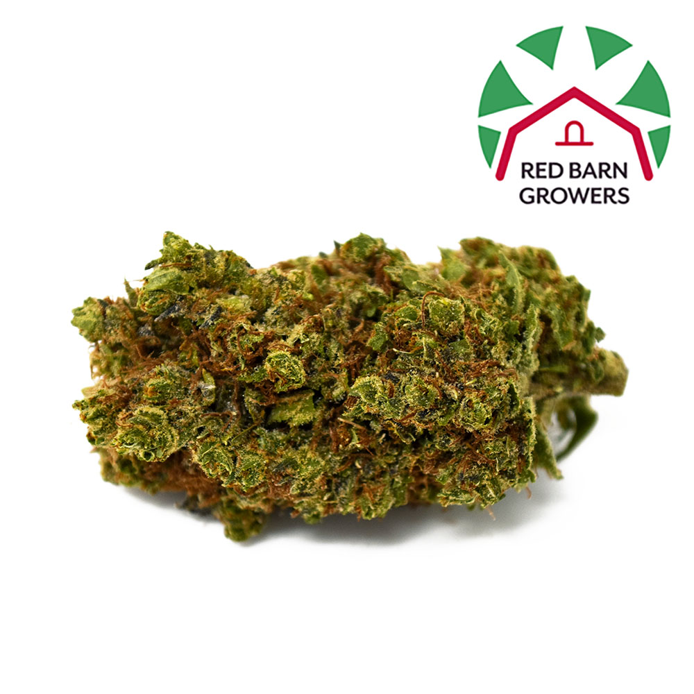 Stardawg